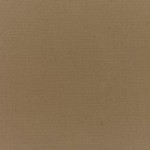 Sunbrella Rain Canvas Cocoa
