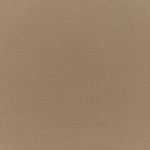 Canvas Camel