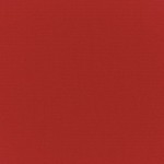 Canvas Logo Red