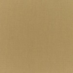 Canvas Brass
