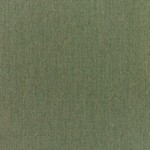 Canvas Fern