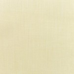 Canvas Vellum