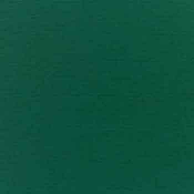 Forest Green Suncrylic Fabric (C)