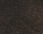 99 Autumn Rust